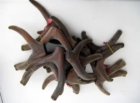 Cách Nấu Cao Ban Long