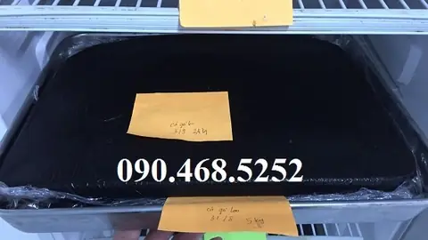 Quy Trình Bào Chế Cao Cà Gai Leo