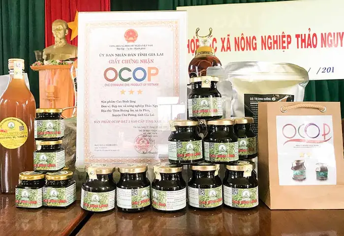 Tìm Hiểu Về Sản Phẩm Cao Đinh Lăng Của Htx Nông Nghiệp Thảo Nguyên Tìm Hiểu Về Sản Phẩm Cao Đinh Lăng Của Htx Nông Nghiệp Thảo Nguyên