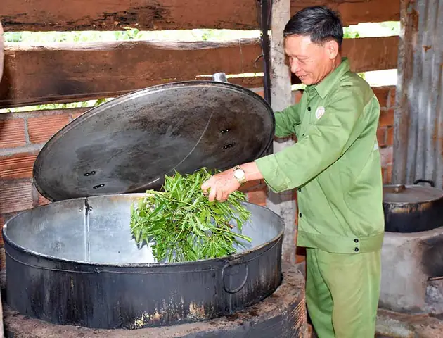 Tìm Hiểu Về Sản Phẩm Cao Đinh Lăng Của Htx Nông Nghiệp Thảo Nguyên