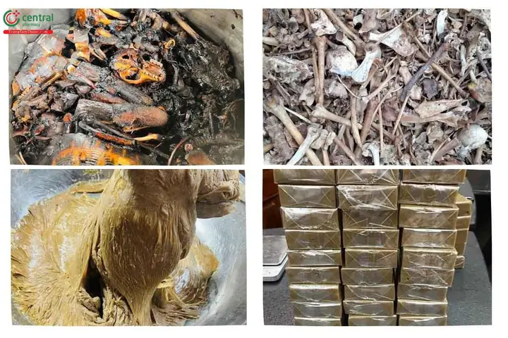 3Cách nấu cao động vật