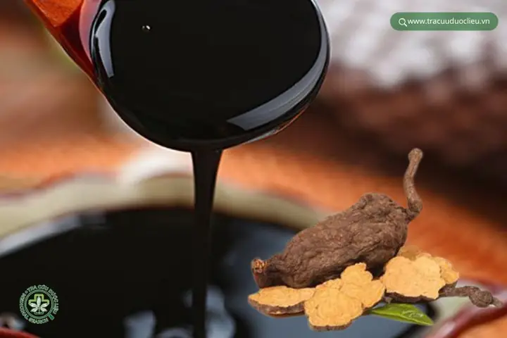 Cao Hà Thủ Ô Là Gì?