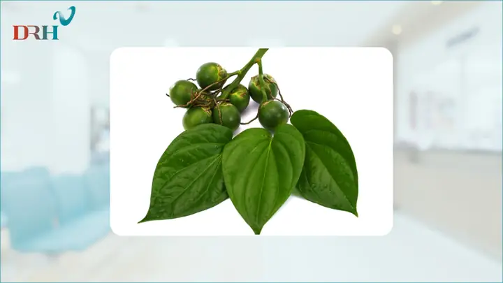 Cách Sử Dụng Cao Lá Trầu Không Đạt Hiệu Quả Cao