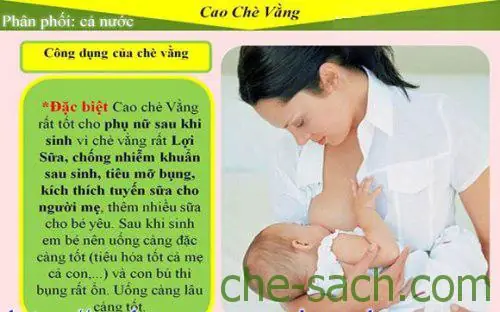 Quy Trình Nấu Cao Chè Vằng