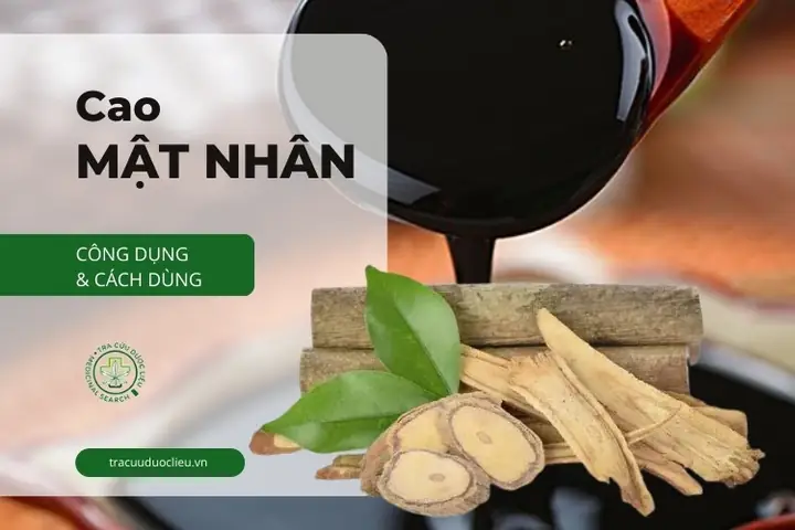Cao mật nhân là gì? Cách nấu và sử dụng cao mật nhân 1 Cao mật nhân là gì? Cách nấu và sử dụng cao mật nhân 1