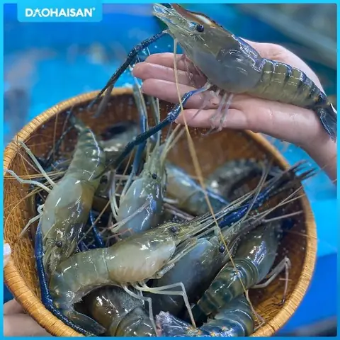 Món Cà Ri Tôm Càng Xanh Thơm Lừng