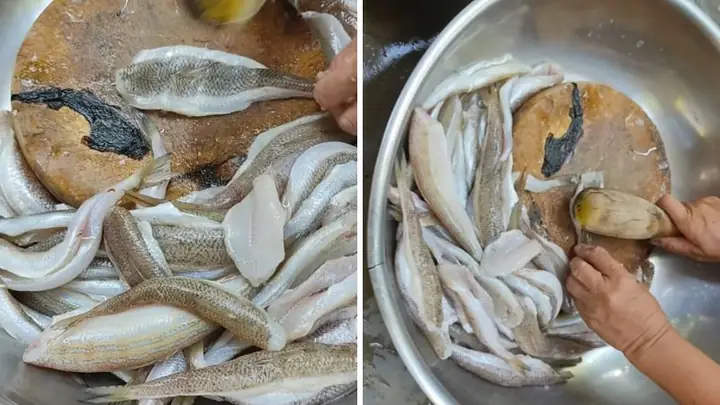 Cách Nấu Chả Cá Mòi Thơm Ngon Đậm Đà Chuẩn Vị Gia Đình