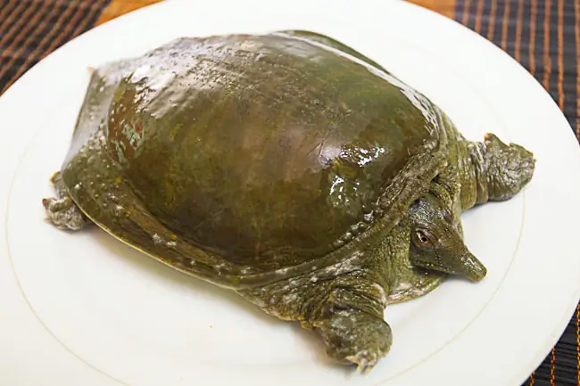 CÃ¡ch náº¥u chÃ¡o baba cho tráº» giÃ u dinh dÆ°á»¡ng