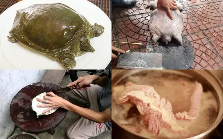 Bước 1: Sơ chế baba