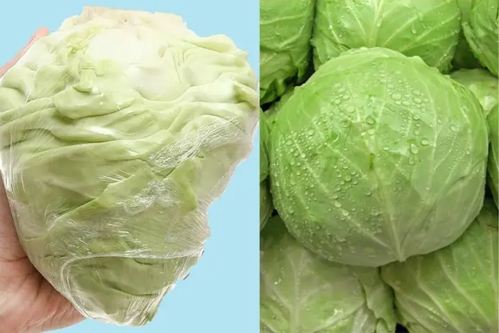 Dựa vào hình dáng bắp cải