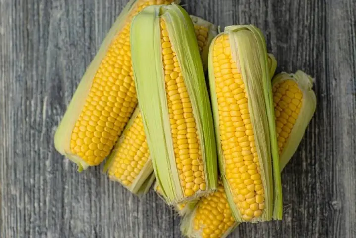 1giá Trị Dinh Dưỡng Của Bắp