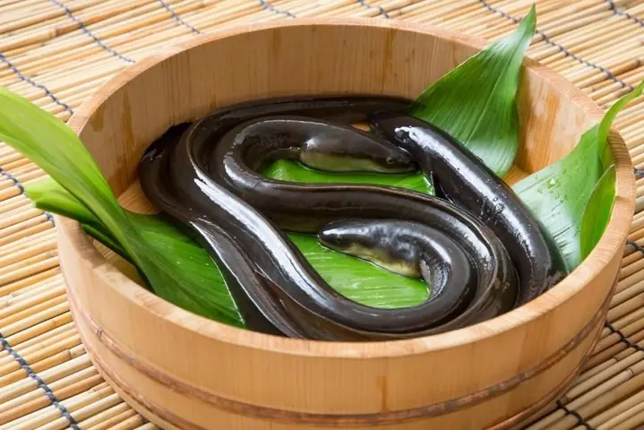 Cháo hạt sen với thịt lươn Cháo hạt sen với thịt lươn