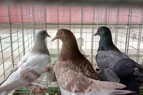 Thông Tin Thêm Thông Tin Thêm