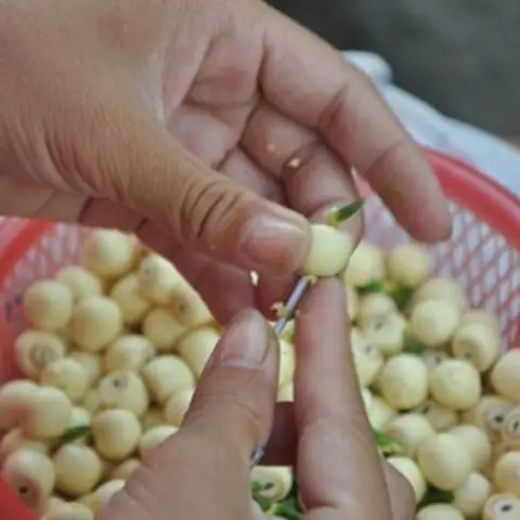 Sơ chế các nguyên liệu khác