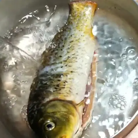 Luộc và tách thịt cá chép