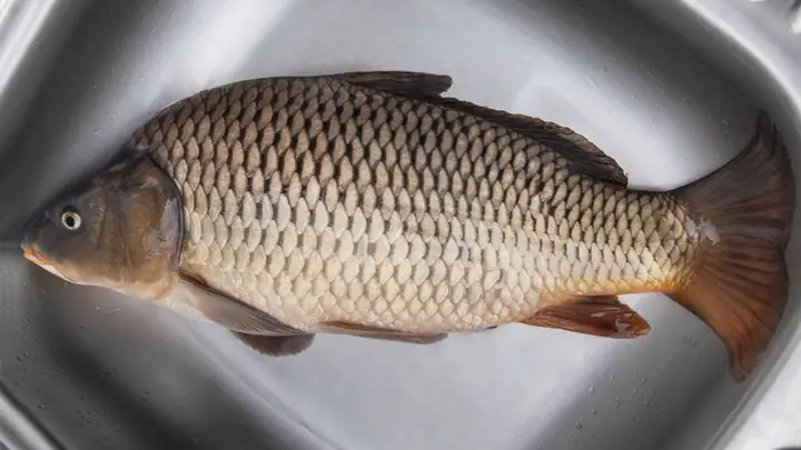 Một số lưu ý trong cách nấu cháo cá chép