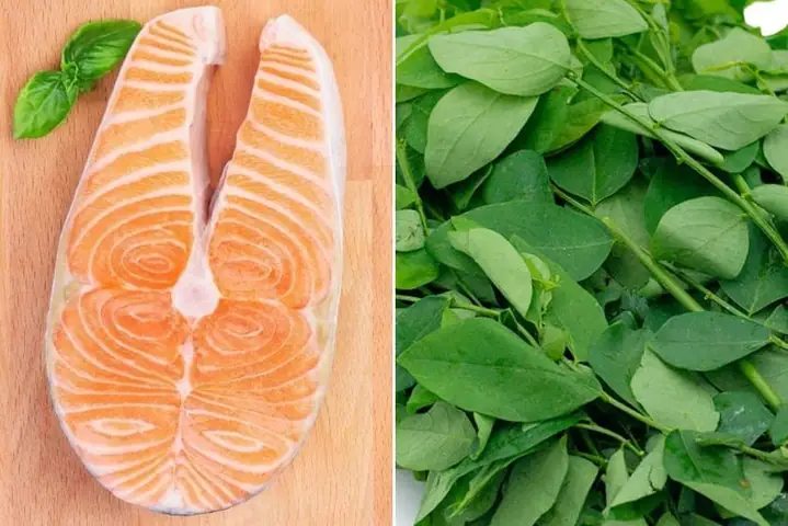 1lợi Ích Khi Cho Bé Ăn Dặm Cá Hồi Và Rau Ngót 1lợi Ích Khi Cho Bé Ăn Dặm Cá Hồi Và Rau Ngót