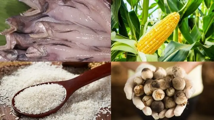 1Nguyên liệu nấu món cháo cá khoai