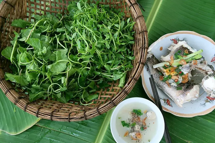 Những Lưu Ý Cho Món Cháo Cá Lóc Thơm Ngon Những Lưu Ý Cho Món Cháo Cá Lóc Thơm Ngon