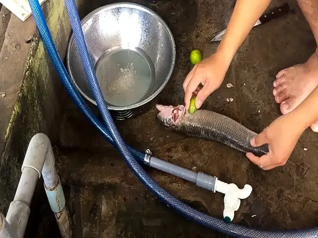 4. Bí quyết cách nấu cháo cá lóc không tanh