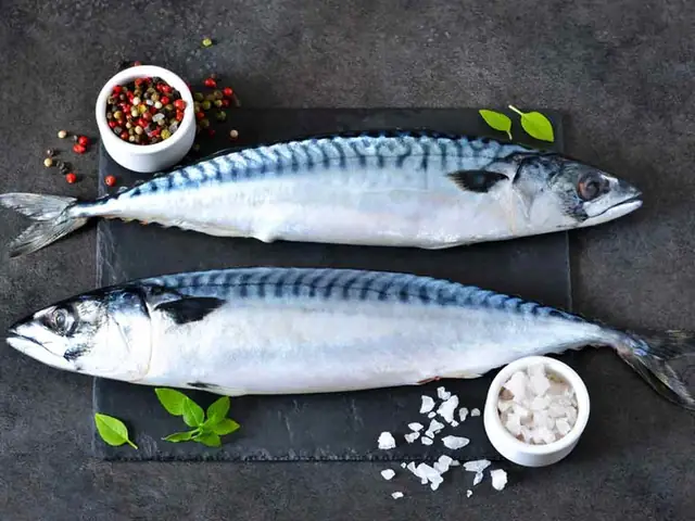 Giá Trị Dinh Dưỡng Của Cá Thu Đối Với Trẻ Giá Trị Dinh Dưỡng Của Cá Thu Đối Với Trẻ