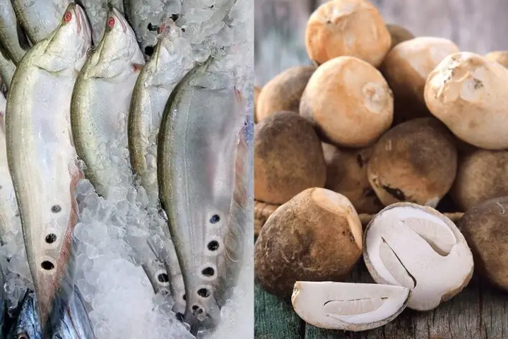 3công Thức Nấu Cháo Cá Thác Lác Với Nấm Rơm