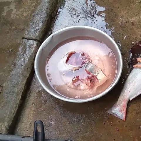 Cách Nấu Cháo Cá Tra Thơm Ngon Không Bị Tanh Bổ Dưỡng Đơn Giản Tại Nhà