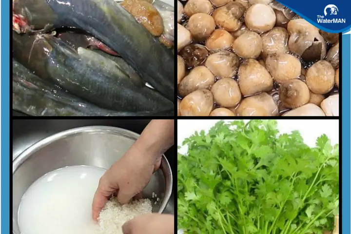 Bước 1: Sơ Chế Các Nguyên Liệu Bước 1: Sơ Chế Các Nguyên Liệu