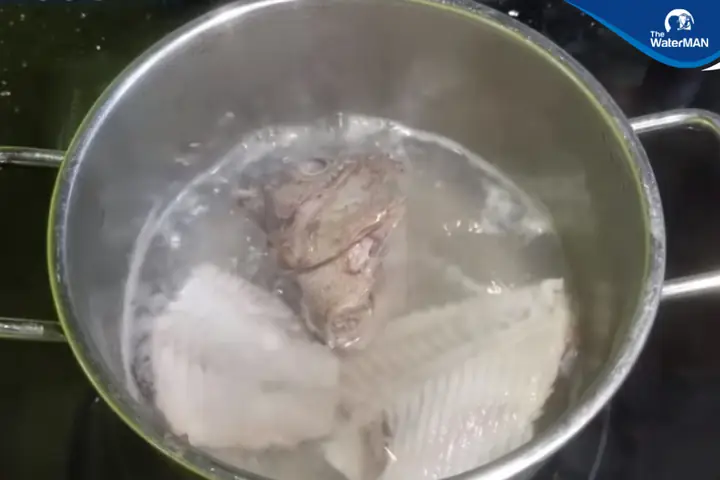 Bước 3: Chế Biến Cá Trê Và Nấm