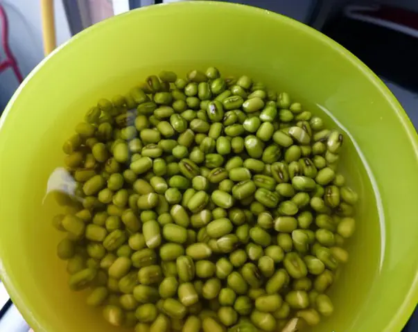 Cháo Cá Chẽm Cho Bé Là Món Cháo Được Rất Nhiều Mẹ Yêu Thích Và Lựa Chọn Bởi Cá Chẽm Có Thịt Chắc, Ngọt, Thơm Ngon Và Rất Giàu Dinh Dưỡng. Cách Chế Biến Cháo Cá Chẽm Lại Đơn Giản, Không Mất Quá Nhiều Thời Gian.