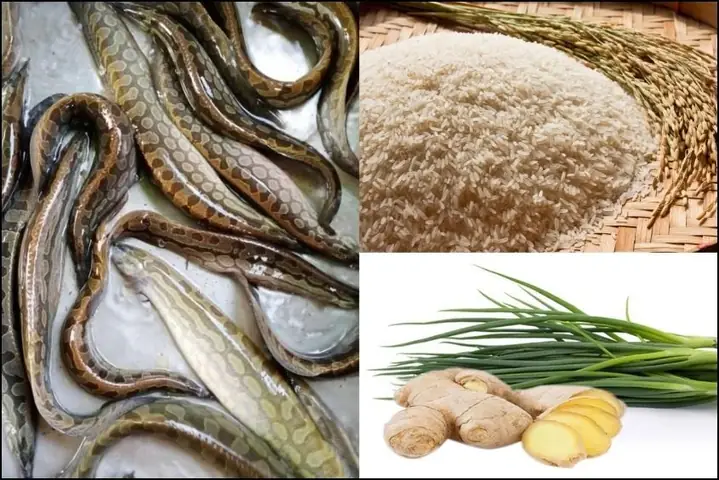 1Cách nấu cháo cá chạch cho bé thơm ngon