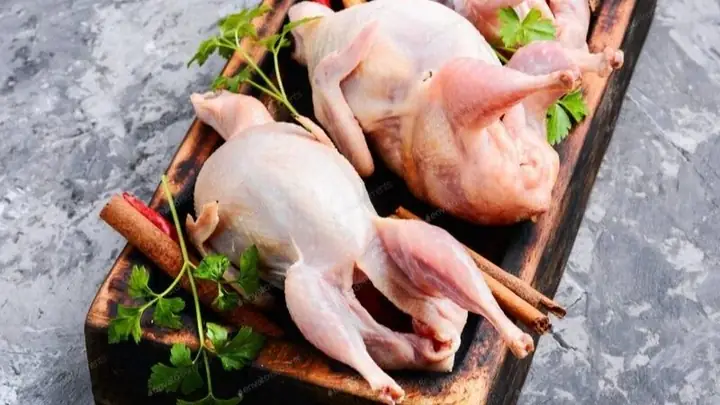 Cách Lựa Chọn Chim Bồ Câu Ngon Để Nấu Cháo