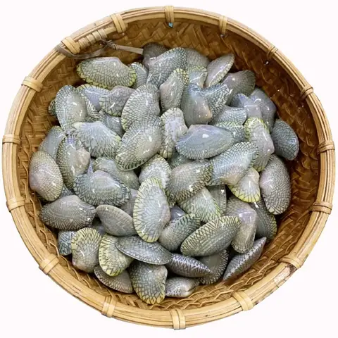 3.2. Chọn chip chip như thế nào cho tươi ngon ? 3.2. Chọn chip chip như thế nào cho tươi ngon ?