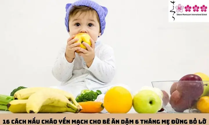 Bé 6 tháng ăn dặm cháo yến mạch được chưa? Lợi ích của yến mạch Bé 6 tháng ăn dặm cháo yến mạch được chưa? Lợi ích của yến mạch