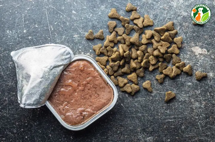 Hạt Dinh Dưỡng Hoặc Pate Nghiền Nhuyễn