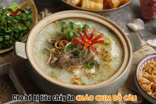 2.7. Cháo Chim Bồ Câu 2.7. Cháo Chim Bồ Câu