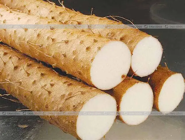 1. Công dụng của củ mài