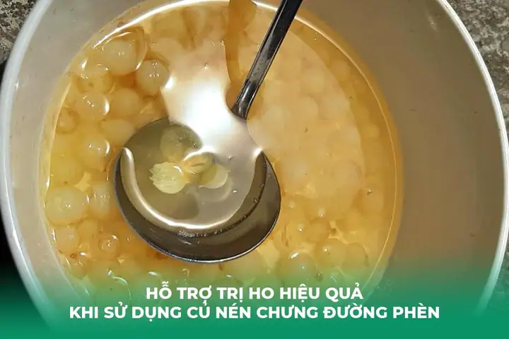 Củ Nén Chưng Đường Phèn