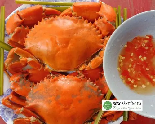 Các bước chế biến .