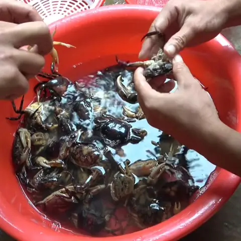 Sơ Chế Cua Đồng Sơ Chế Cua Đồng