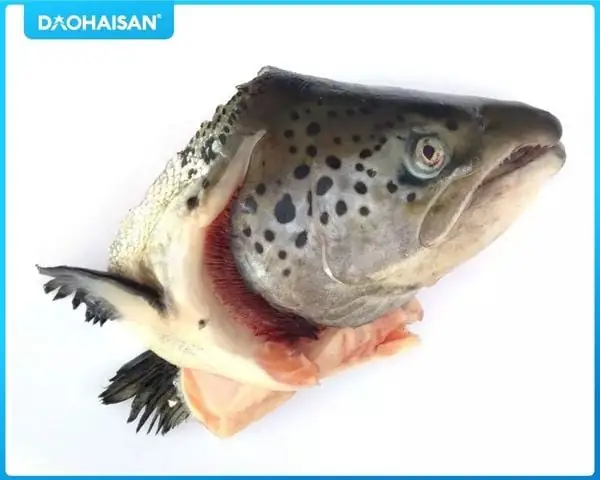Đối Với Cá Hồi Tươi Sống Nguyên Con