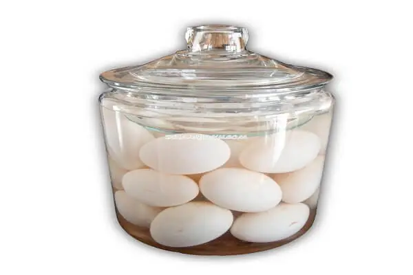 Video đang HOT Video đang HOT