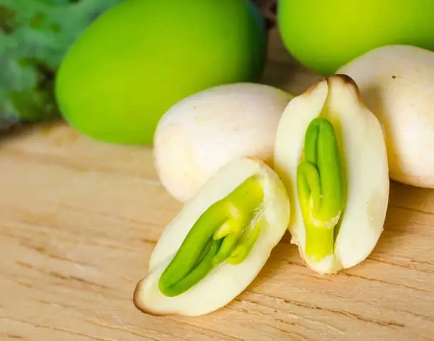 Chú Ý Sơ Chế Hạt Sen