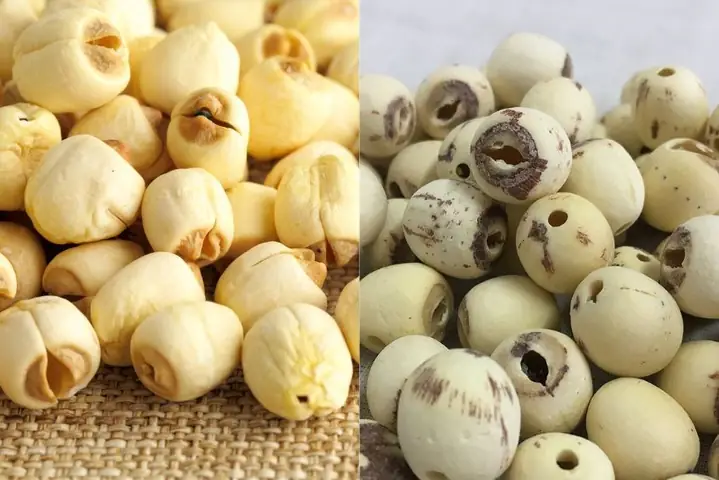 3Mẹo chọn hạt sen ngon để nấu cháo hạt sen cho bé 3Mẹo chọn hạt sen ngon để nấu cháo hạt sen cho bé