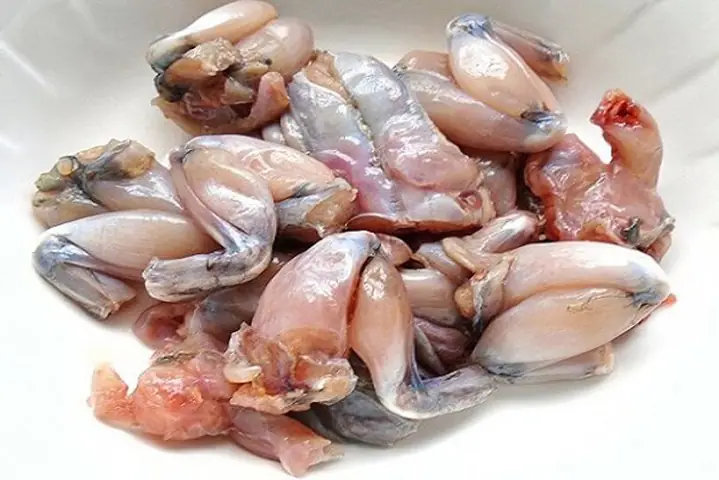 Cháo ếch đậu xanh cho bé ăn dặm khá ngon và bổ dưỡng, mẹ có thể nấu cho bé ăn từ tháng thứ 8 trở đi, đảm bảo sẽ giúp bé tăng cân nhanh chóng. Thịt ếch là thực phẩm rất phù hợp cho bé lười ăn, suy dinh dưỡng, thường xuyên ra mồ hôi trộm.