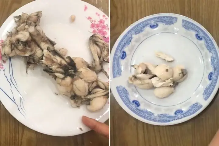 Cháo ếch mồng tơi cho bé ăn dặm thơm ngon chuẩn vị