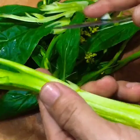 Sơ Chế Cải Ngồng Sơ Chế Cải Ngồng