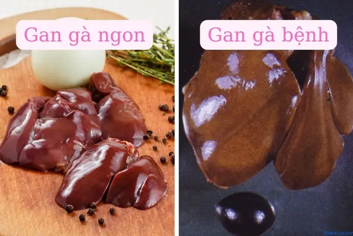 Cách Chọn Mua Gan Gà An Toàn