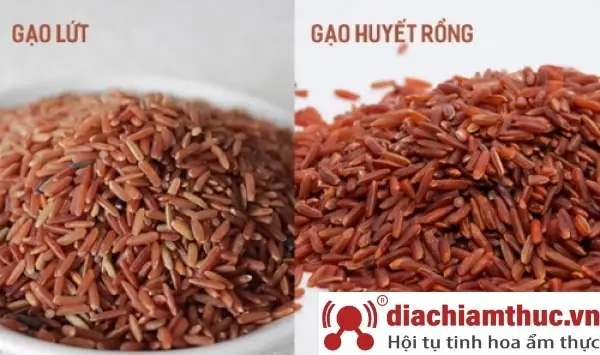 Chuẩn Bị Nguyên Liệu Để Làm Cháo Gạo Lứt Huyết Rồng Chuẩn Bị Nguyên Liệu Để Làm Cháo Gạo Lứt Huyết Rồng