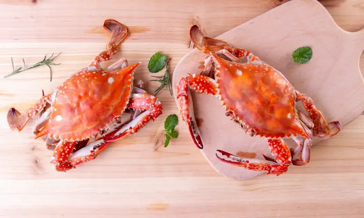 Lưu Ý Khi Cho Bé Ăn Cháo Ghẹ